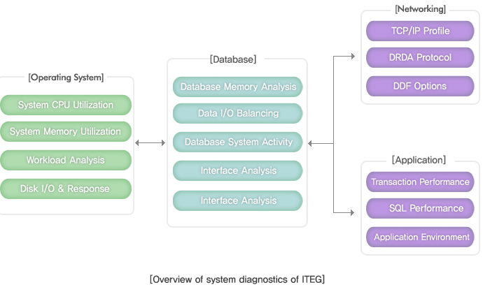 System diagnostic consulting of ITEG